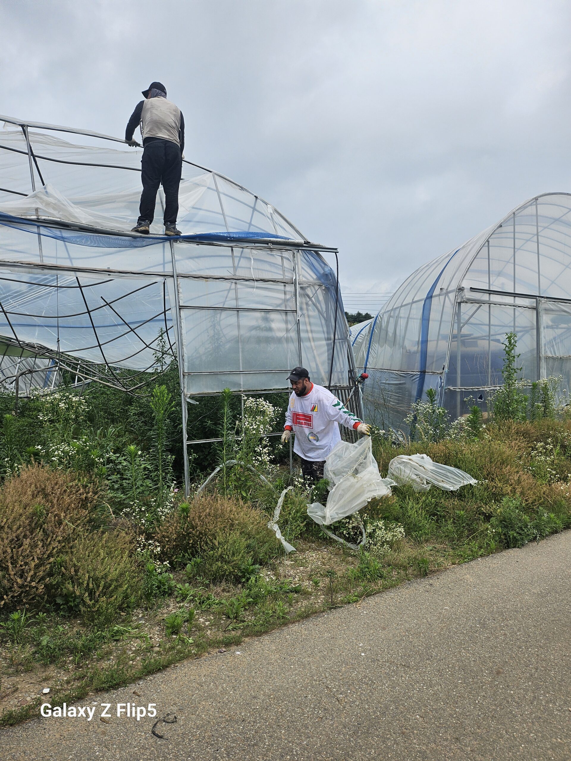 KakaoTalk_20250722_141845190